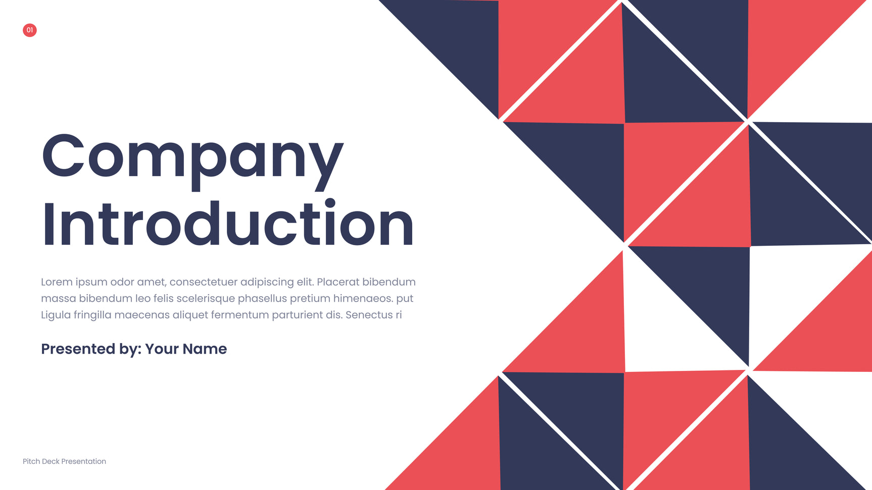 Red Geometric Business Presentation