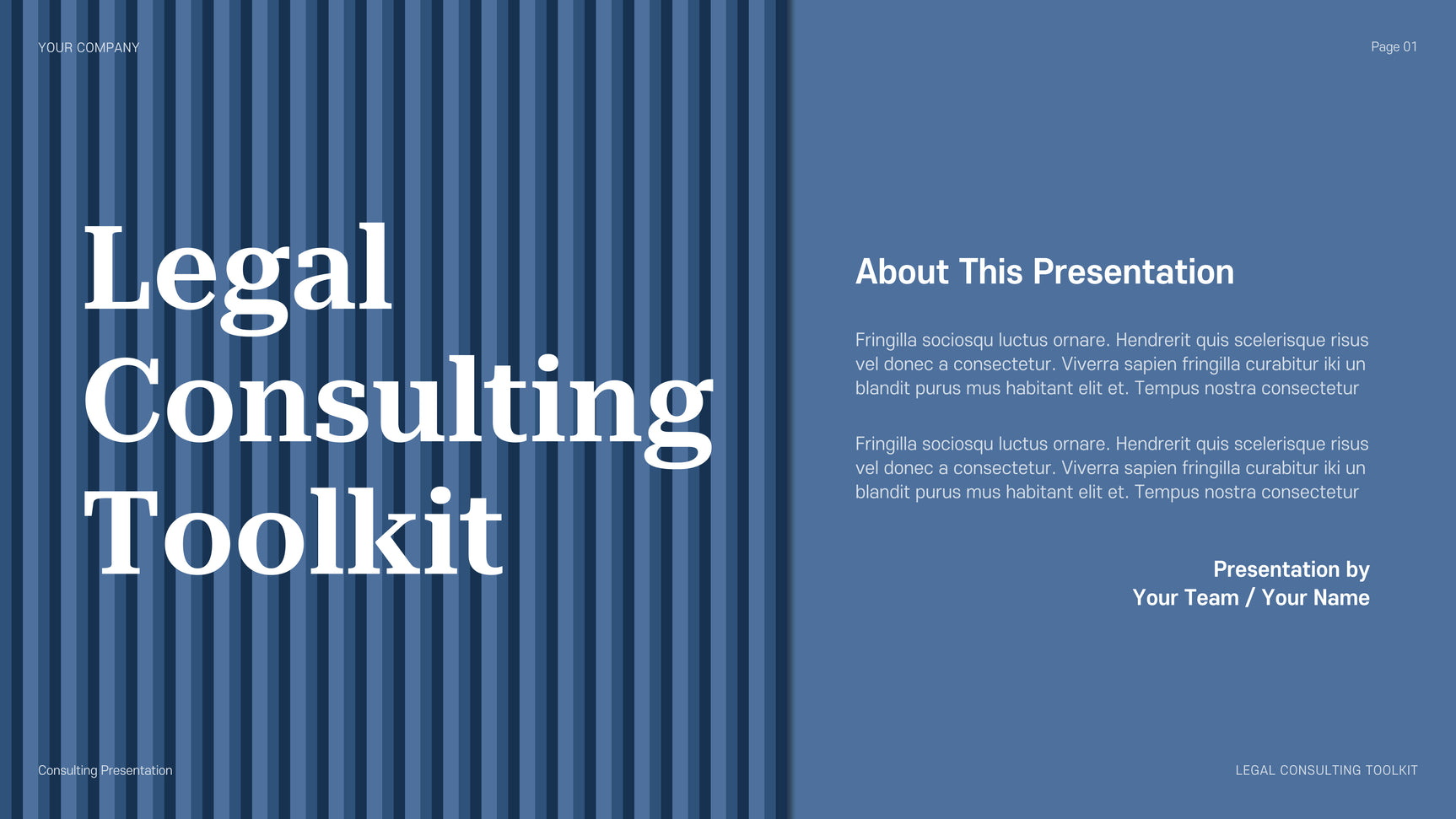 Blue Professional Consulting Presentation