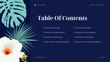 Navy Tropical Nonprofit Organization Presentation