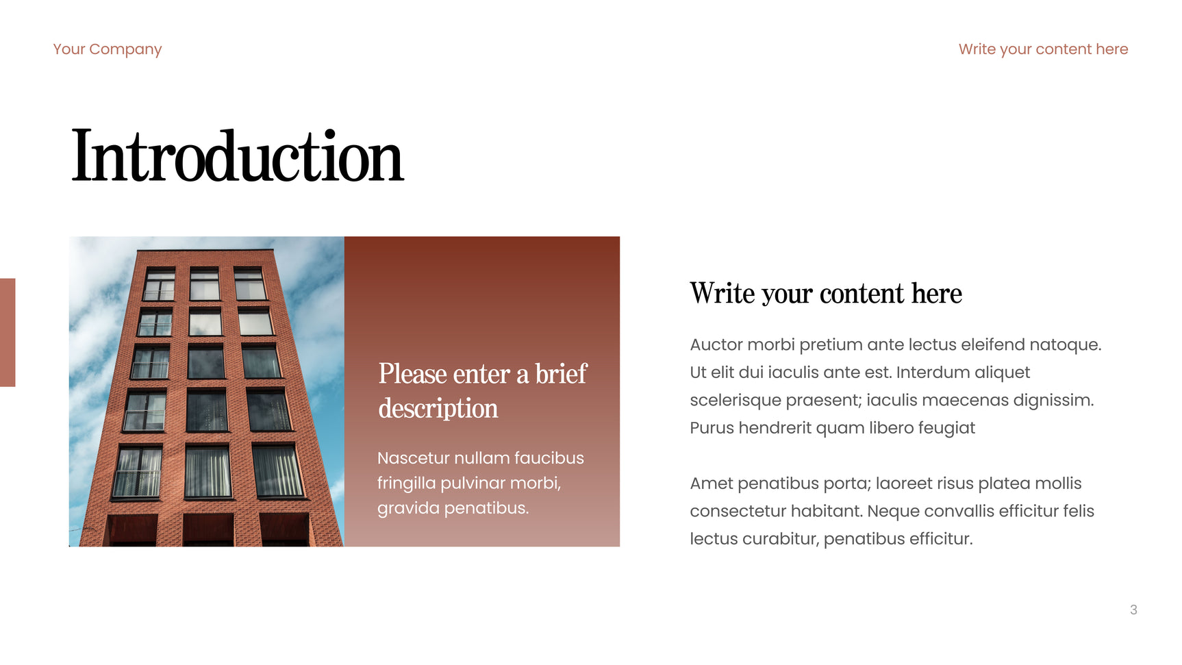 Brown Modern Consulting Guide