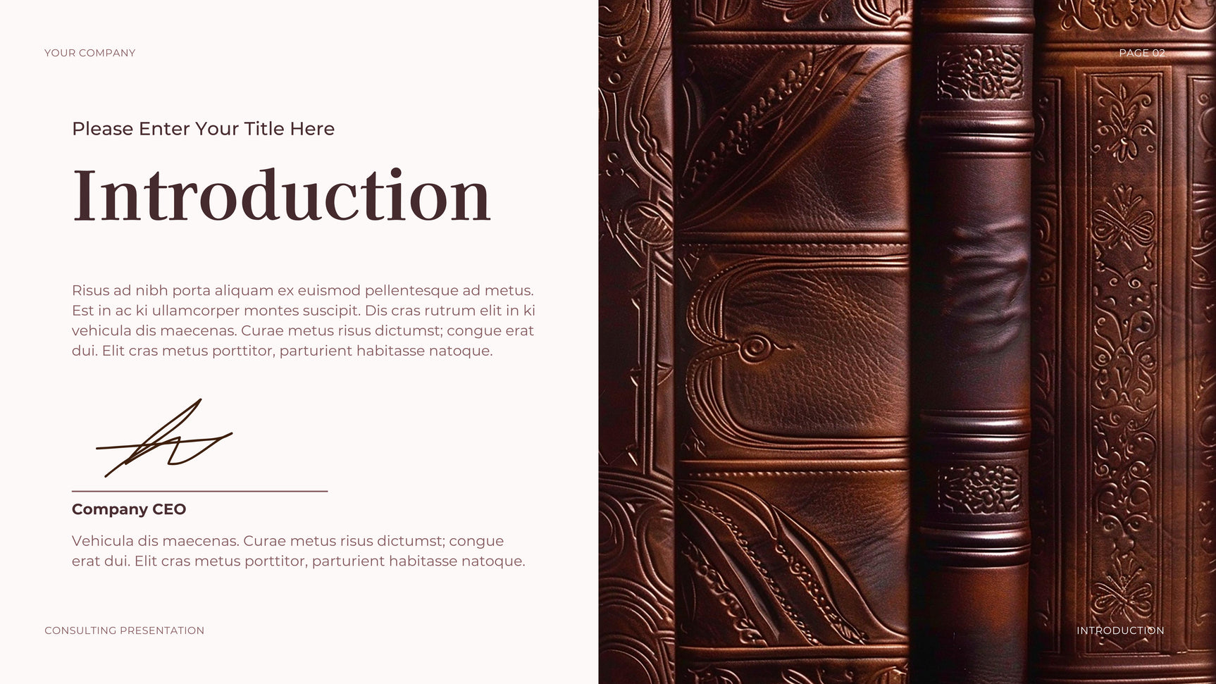 Brown Professional Legal Presentation