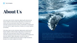 Blue Ocean Sustainable Earth Presentation