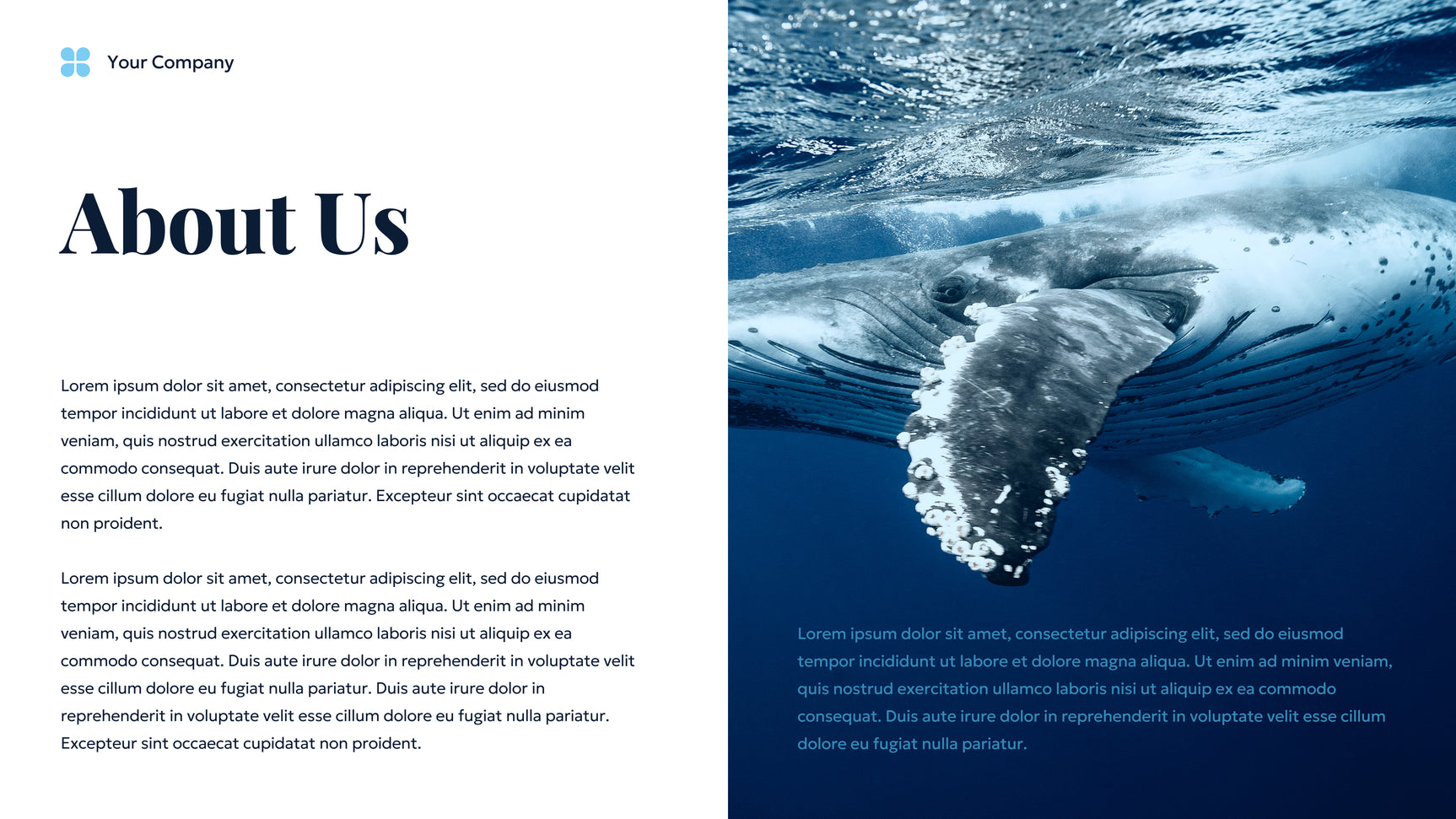 Blue Ocean Sustainable Earth Presentation