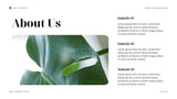 Navy Tropical Nonprofit Organization Presentation
