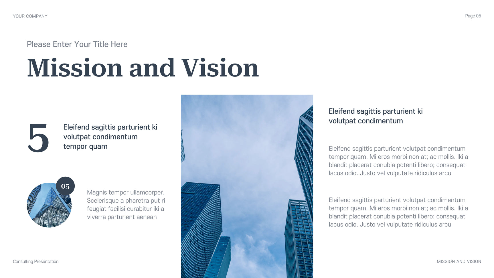 Blue Professional Consulting Presentation