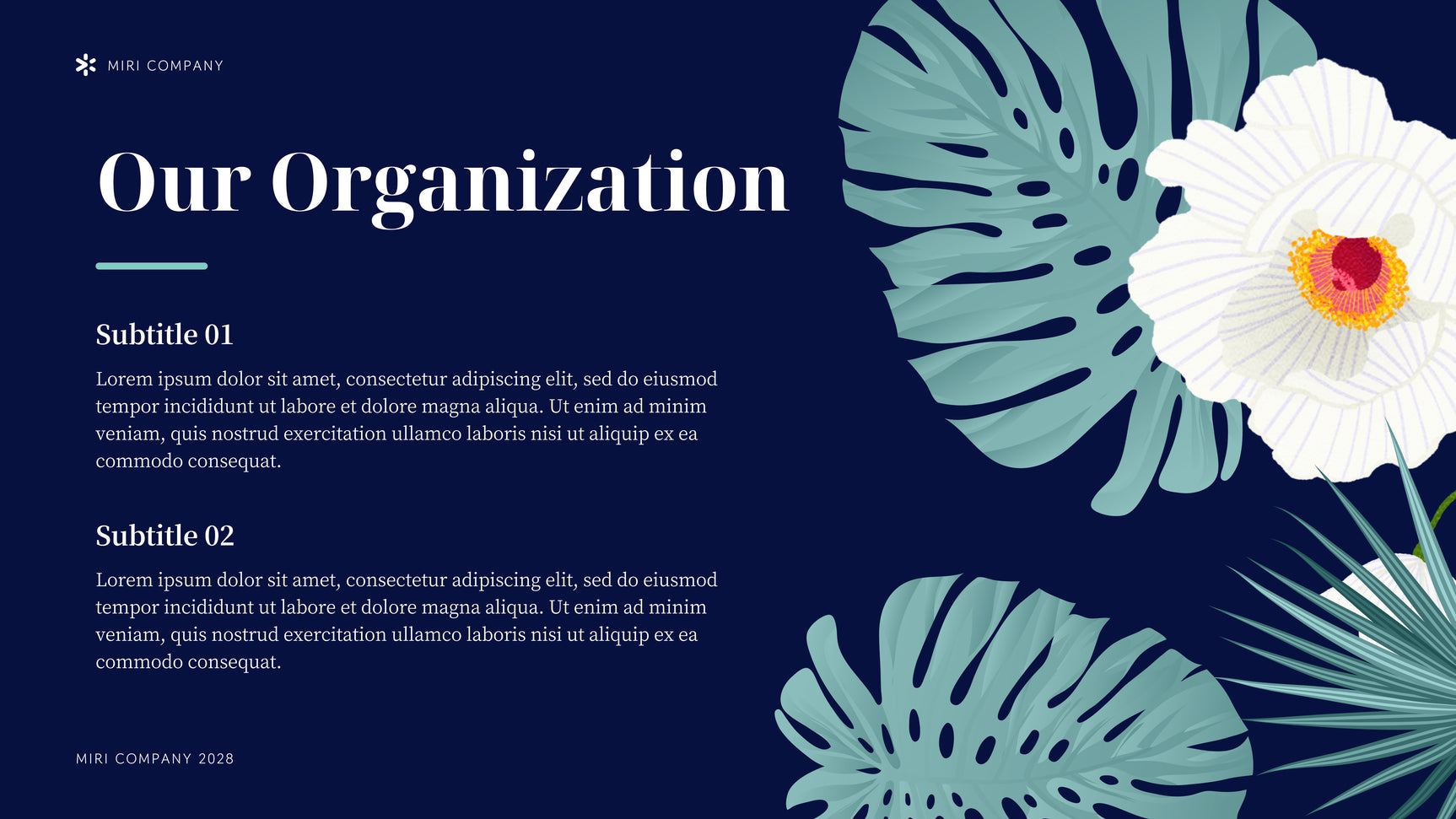 Navy Tropical Nonprofit Organization Presentation