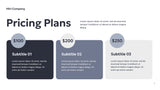 Grey Geometric Business Presentation