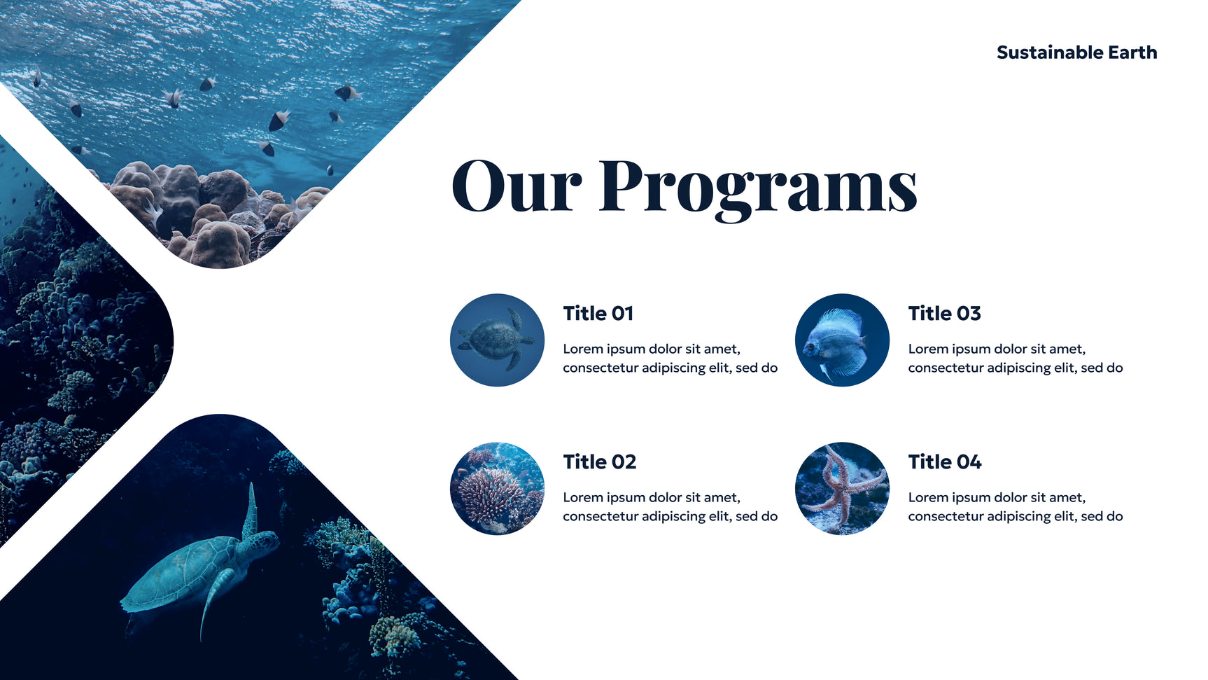 Blue Ocean Sustainable Earth Presentation