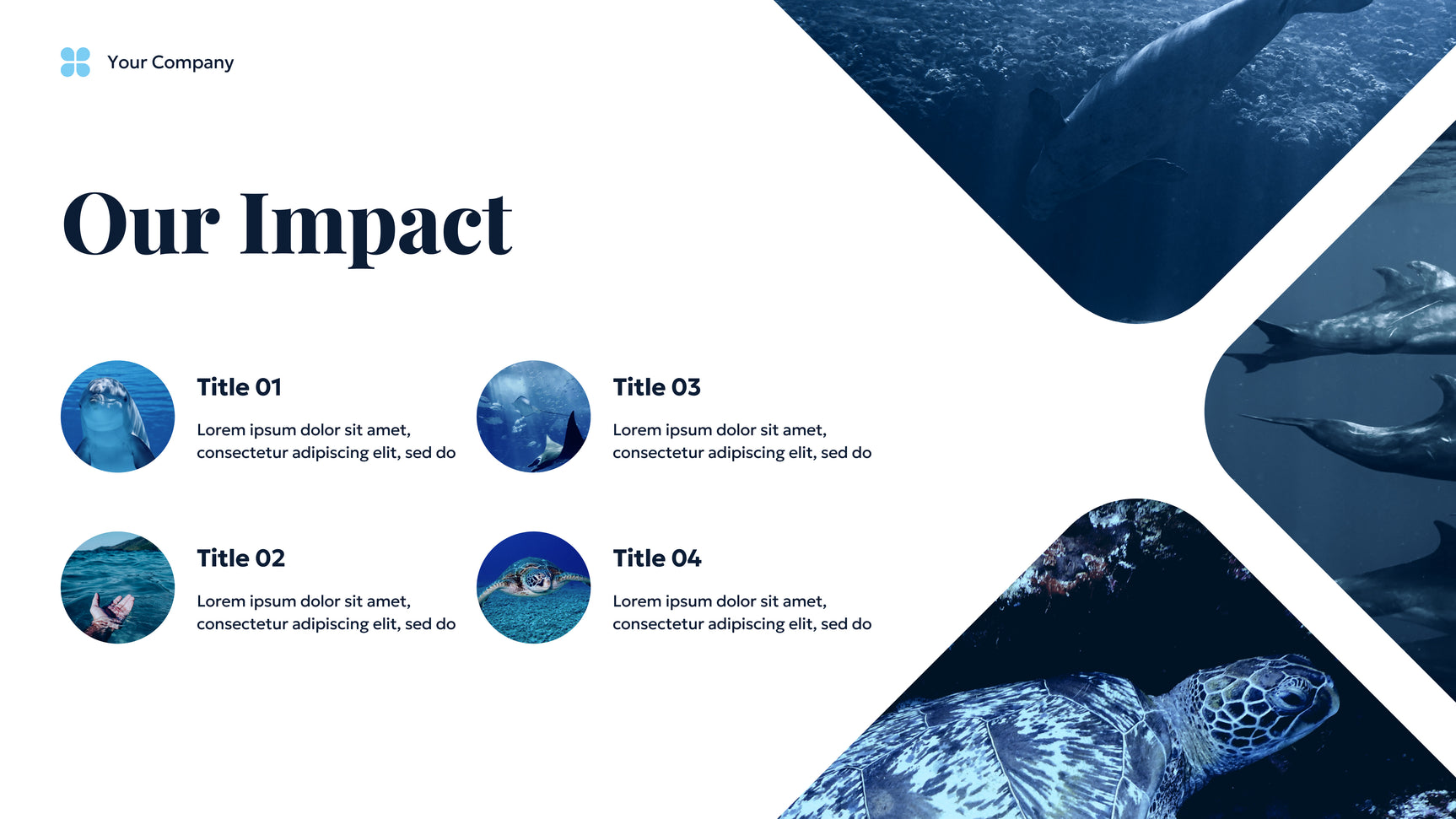 Blue Ocean Sustainable Earth Presentation