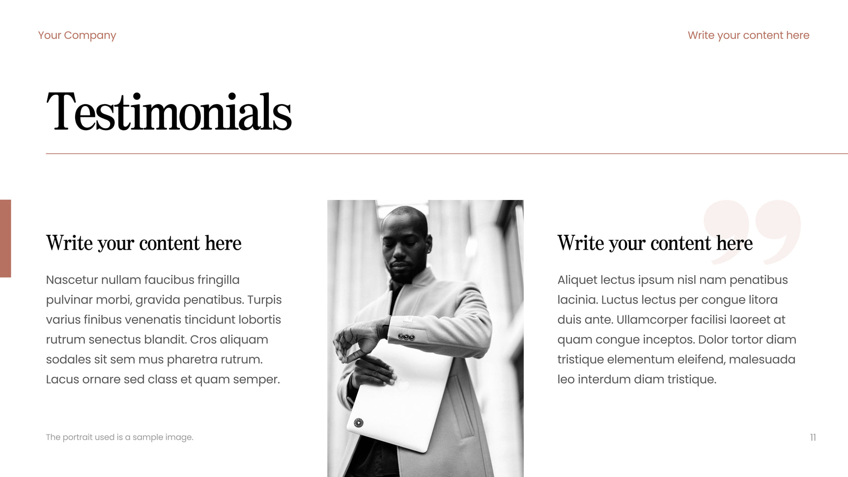 Brown Modern Consulting Guide