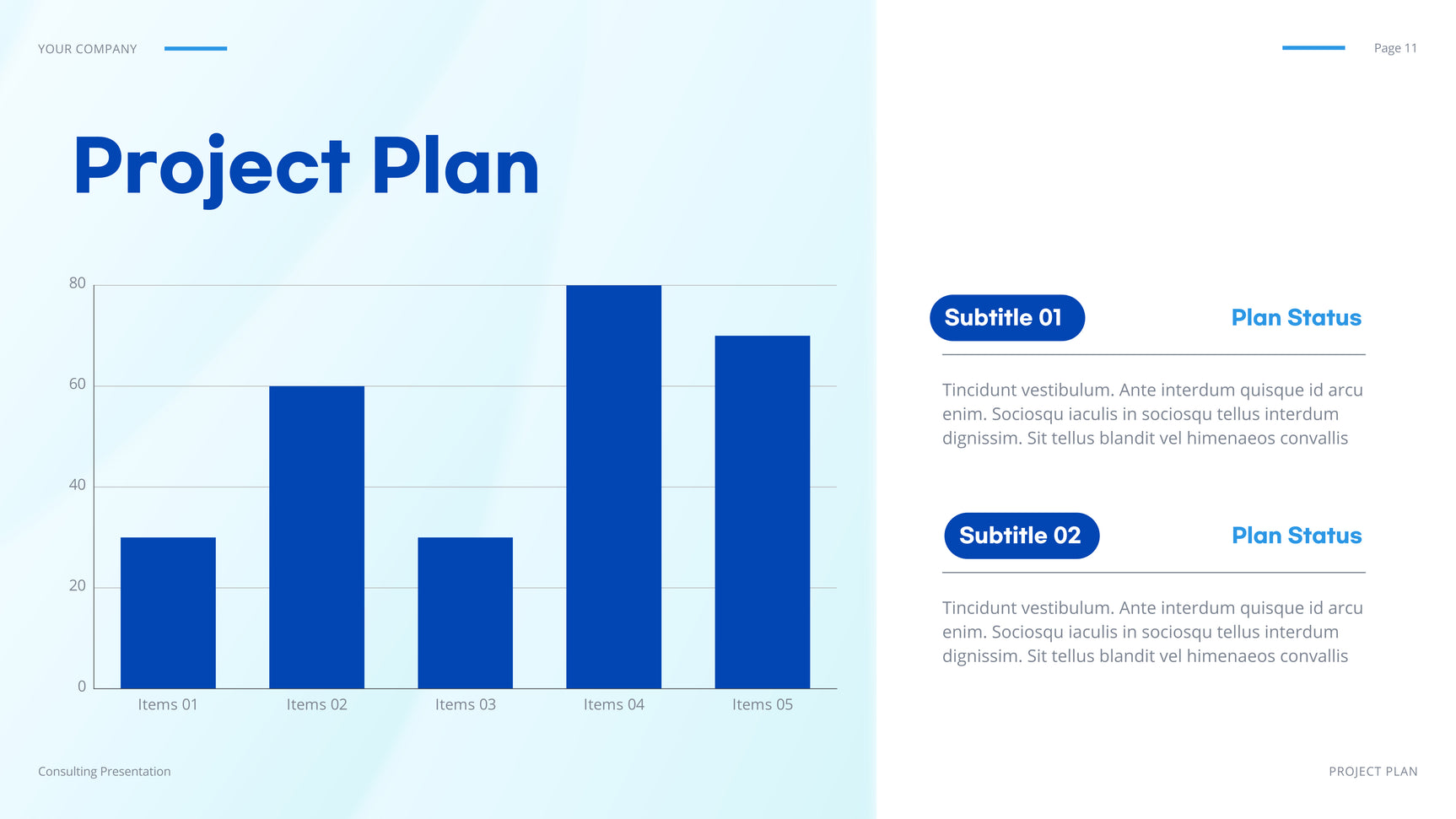 Blue Geometric IT Presentation Document