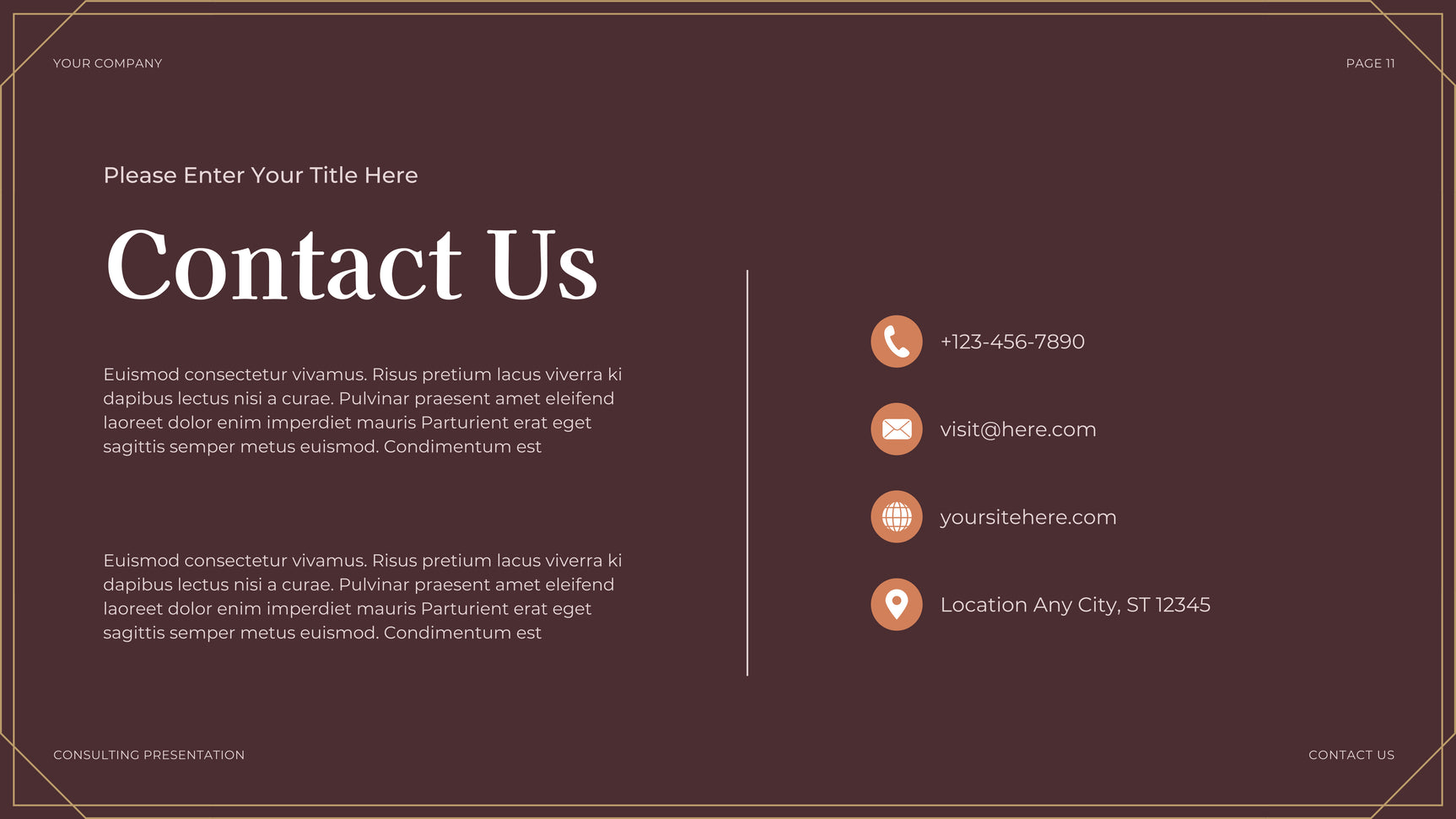 Brown Professional Legal Presentation